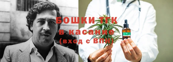 крисы Алексеевка