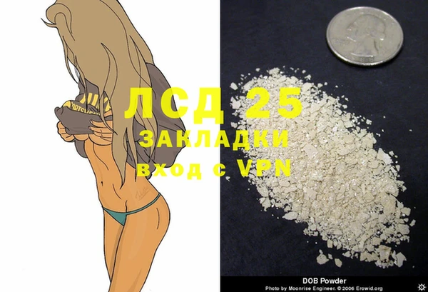 ПСИЛОЦИБИНОВЫЕ ГРИБЫ Алексин