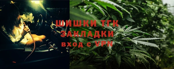 ПСИЛОЦИБИНОВЫЕ ГРИБЫ Алексин