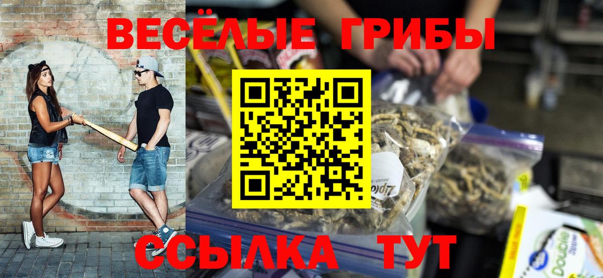 Псилоцибиновые грибы GOLDEN TEACHER Саров