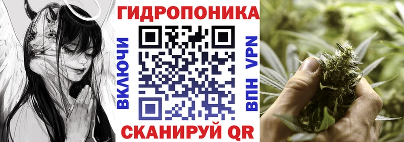 купить наркотики цена  Саров  Марихуана SATIVA & INDICA 